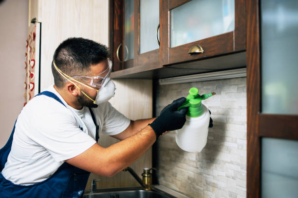 Best Pest Control Treatment  in Upland, IN