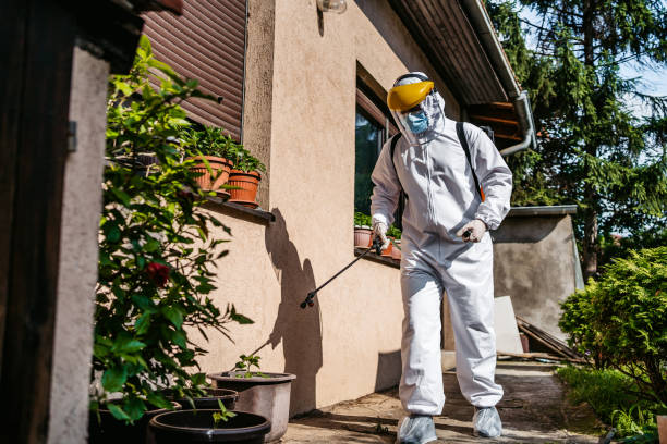 Best Rodent Control Near Me  in Upland, IN