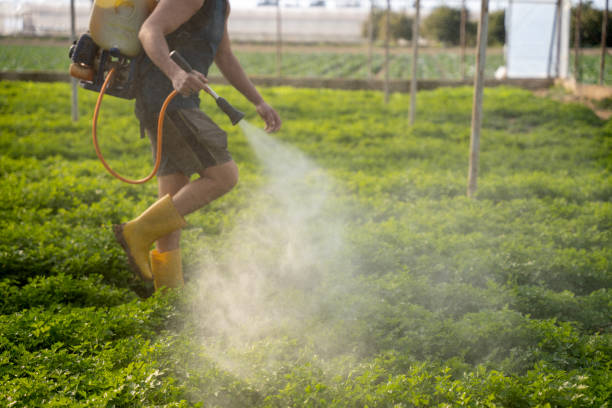 Best Wasp Removal Services  in Upland, IN