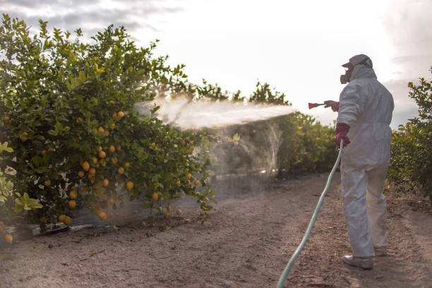 Best Bed Bug Extermination  in Upland, IN